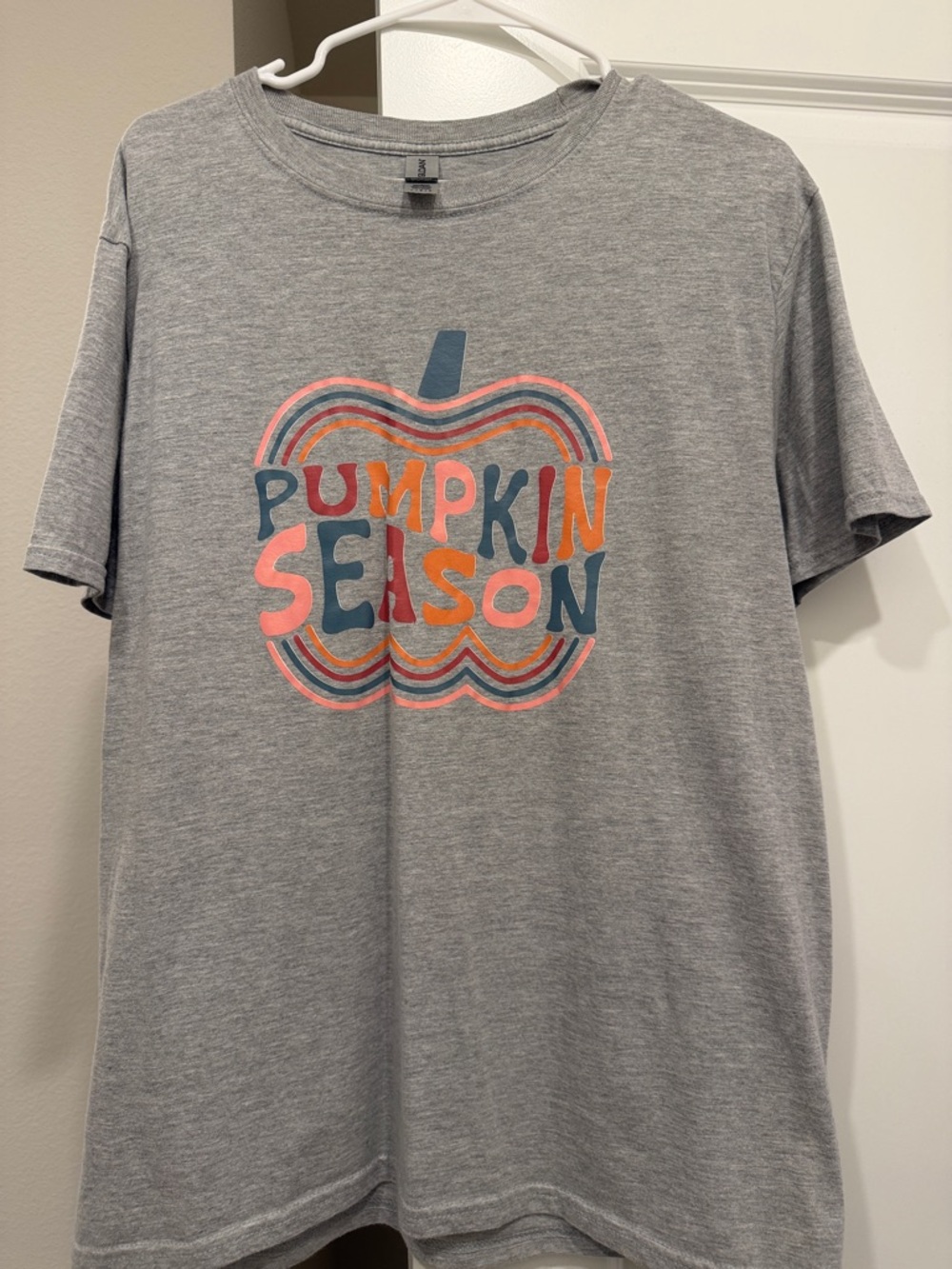 Gildan Softstyle Grey Crewneck T-Shirt